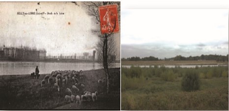 Loire pâturée et Loire Sauvage, 1887 et 2018