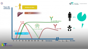 slide_apprentissageVirologie3_VIH1